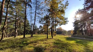Памятник природы Колтушские высоты/Specially protected natural area Koltushskie heights