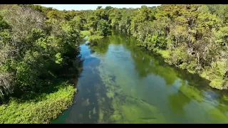 Wakulla River