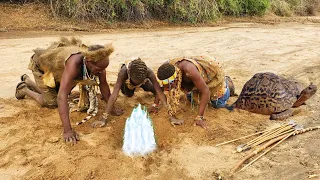 How Hadzabe dig for water in dry rivers | hunter-gatherers lifestyle.