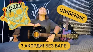 Харцизи-Шибеник. 3 Акорди! Без Баре! Кавер+ розбір на гітарі