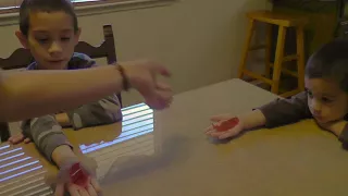 Fortune Telling Fish - TheSciBuddies