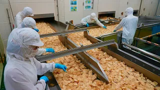 The Mass Production Process of Seaweed-Salted Potato Chips in a Japanese Factory.