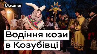 Водіння Кози в Козубівці • Ukraїner