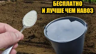 1 Ложку на ведро воды и земля как новая, здоровая, плодородная, живая, для большого урожая всего