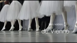 François Feldman Les valses de Vienne  (Official Lyric Vidéo)