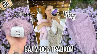 VLOG 9/24: Балуюсь травкой от LANG