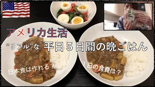 【Vlog”アメリカ”5日間の晩ごはん】アメリカで日本食作ります！