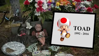 Toad Dies in a car accident while jamming out to Mariah Carey - car safety PSA high school project