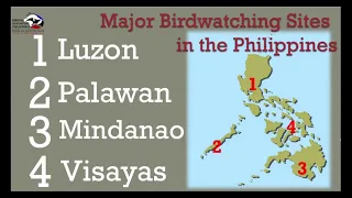 Birding in the Philippines Part 2, Visayas and Mindanao by Adrian Constantino on May 13, 2022