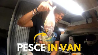 COMPRO il PESCE dal PESCATORE [Van-Life Sardegna 182 days]