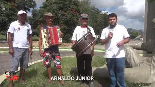 Os campeões do forro a paixão de alagoas