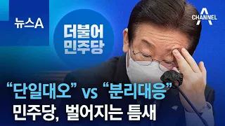 “단일대오” vs “분리대응”…민주당, 벌어지는 틈새 | 뉴스A