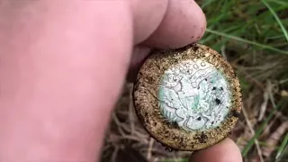 My Best Metal Detecting Find Ever! Found a Cache of Silver Coins inside of a Silver Coin Purse!