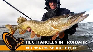 HECHT AUF HECHT im Flachen 💥🐊 So geht's! Hechtangeln im Frühjahr mit Christian Wieneke I Savage Gear