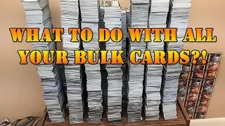 How to Sort and Store 40,000 Cards!