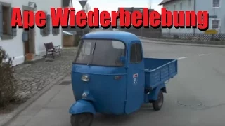 Piaggio Ape 450 Wiederbelebung - Die Apeschrauber