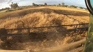 2022 harvest , Cat lexion 480R