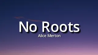 Alice Merton - No Roots (Lyrics) (Tiktok Song) |  thousand times #noroots #tiktoksong #instagramsong