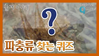 [출제 이야기] #13 - 파충류 찾는 퀴즈