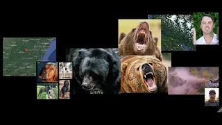 Three Of The Most Painful Bear Attacks