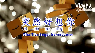 突然好想你 (伴奏) Tu Ran Hao Xiang Ni (Tiba-Tiba Sangat Merindukanmu) vocal remover