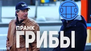 Грибы   Тает Лёд   ПРАНК