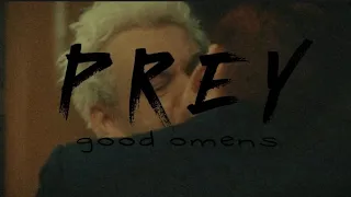 PREY || Good Omens AMV s1+s2 || Crowley × Aziraphale