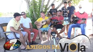 AMIGOS DA VIOLA vou chorar e o tempo vai