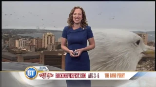 "Гигантская" чайка сорвала прогноз погоды канадского телеканала