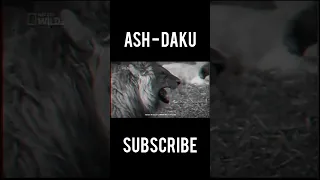 DAKU - ASH KETCHUM EDITZ | WITH DAKU EDIT | ASH STATUS😎 |#shorts #viral #daku