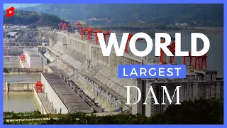World's Largest Dam| The Gyanation #shorts #youtubeshorts #ytshorts #trending