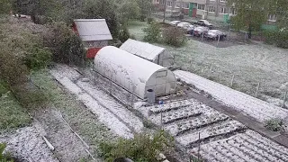 Огородный влог. Зима возвращается. Спасаем рассаду