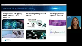 Webinar: Focused Ultrasound and Sonodynamic Therapy (2023)