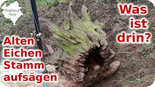 Alten Eichenstamm aufsägen mit Eigenbau Kettensägewerk | Cut Old Oak with selfmade Chainsawmill