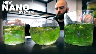 I Made A New System For Shrimp & Nano Fish - RARE Ecosystem Build Starts