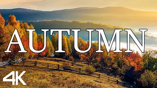 AUTUMN 4K • Nature Relaxation Film • Classical Music • 4k Video UltraHD #1