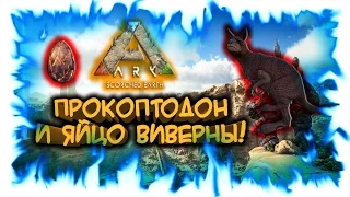 Ark: Scorched Earth! Прокоптодон и яйцо Виверны!