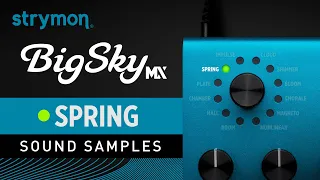 Strymon BigSky MX | Sound Samples | Spring Reverbs