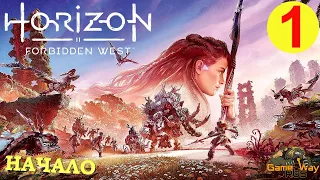 HORIZON FORBIDDEN WEST #1 🎮 PS5 НАЧАЛО. ПЕРВЫЙ ВЗГЛЯД. Прохождение на русском.