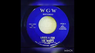 The Werp's - Love's A Fire, 1967.