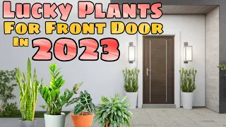 TOP 10 LUCKY PLANTS FOR FRONT DOOR IN 2023 | Swerteng halaman sa pintuan para sa pera at success