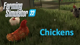 Farming Simulator 22 Tutorial | Chickens