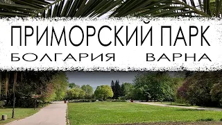 Болгария. Варна. Приморский парк.