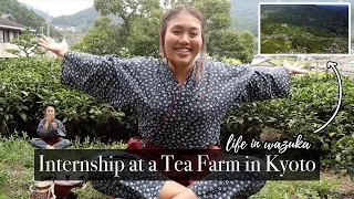 Japanese Tea Internship in Wazuka, Kyoto | Intern #123 Mikie (Philippines)