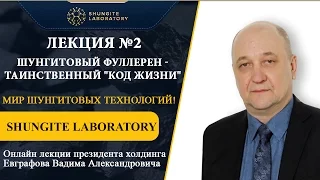 Лекция №2. Шунгитовый фуллерен - таинственный "Код жизни"