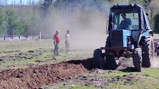 Planting potatoes. Landing on both sides. The second method of planting potatoes. Blue tractor