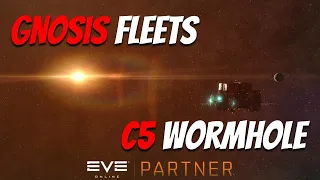 EVE Online: C5 Wormholes in a fleet of cheap Gnosis!!