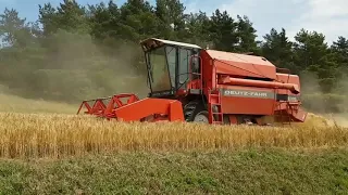 Wintergerste dreschen Oberdolling 2019