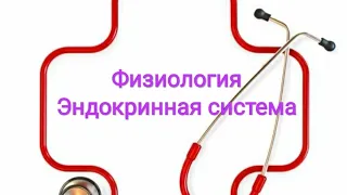 Физиология: мужские половые гормоны. Андрогены.