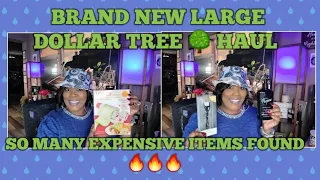 BRAND NEW LARGE DOLLAR TREE HAUL * SO MANY NEW FANCY EXPENSIVE ITEMS * NAME BRANDS * OMG🔥🔥🔥🔥5-29-23